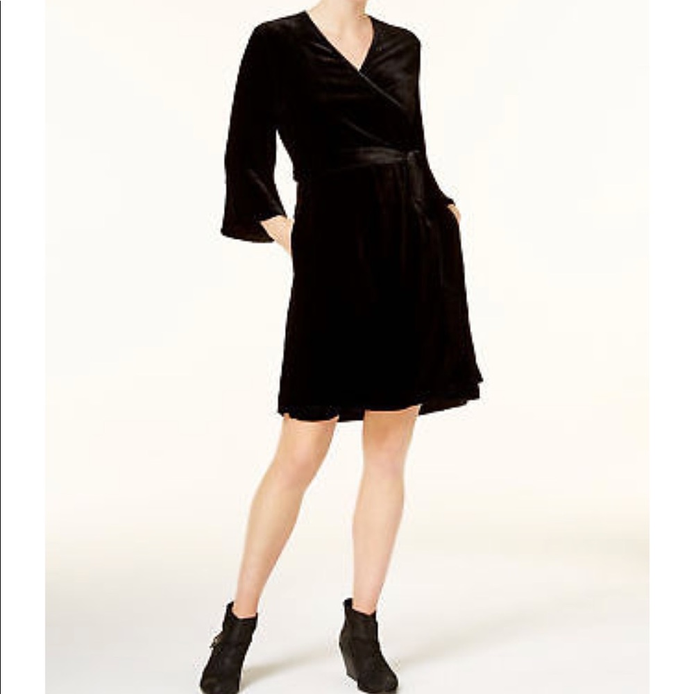NWT 💞 Eileen Fisher 3/4 sleeve velvet dress
